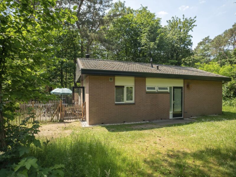6-persoons hondenbungalow