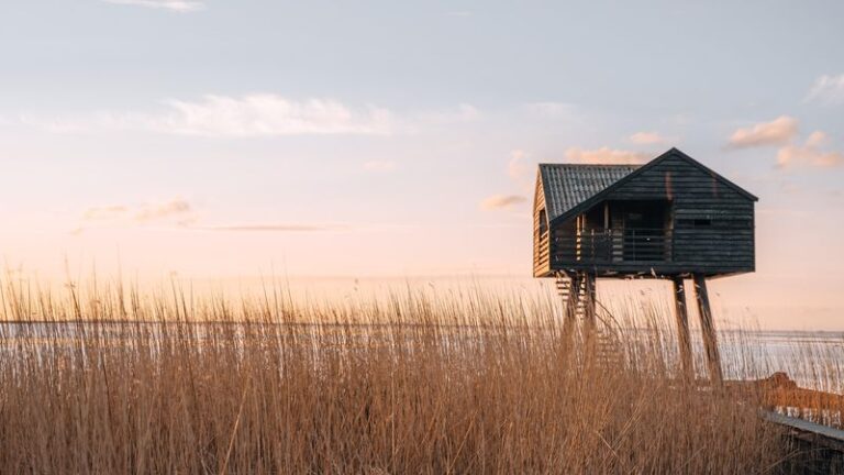 Landal-De-Wedderplassen de omgeving is prachtig