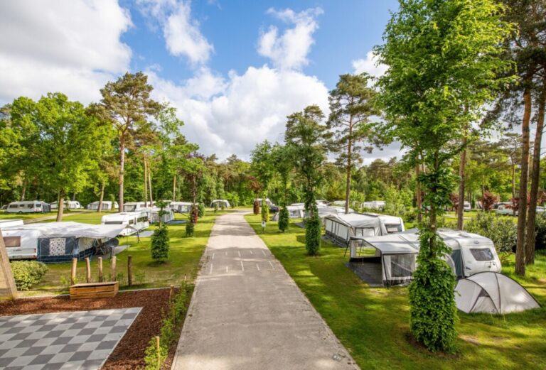 Ardoer Camping De Heldense bossen, Luchtfoto Kampeerplekken