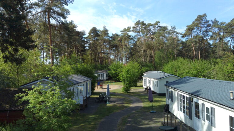 Ardoer Camping Diana Heide, Vakantiehuizen in het bos