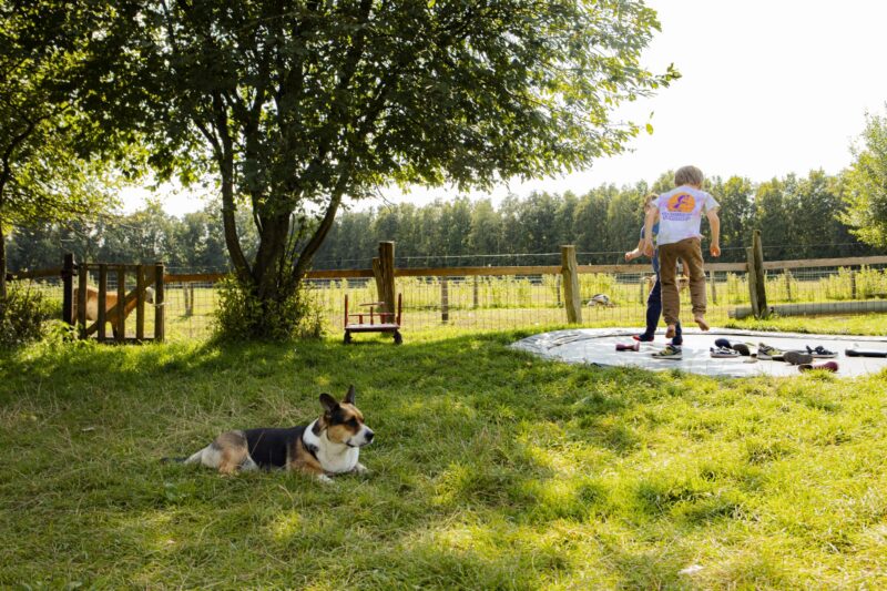 Boerenbed De Lange Weide, Trampoline