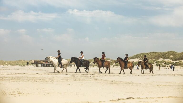 Landal-Schuttersbos-paard activiteit