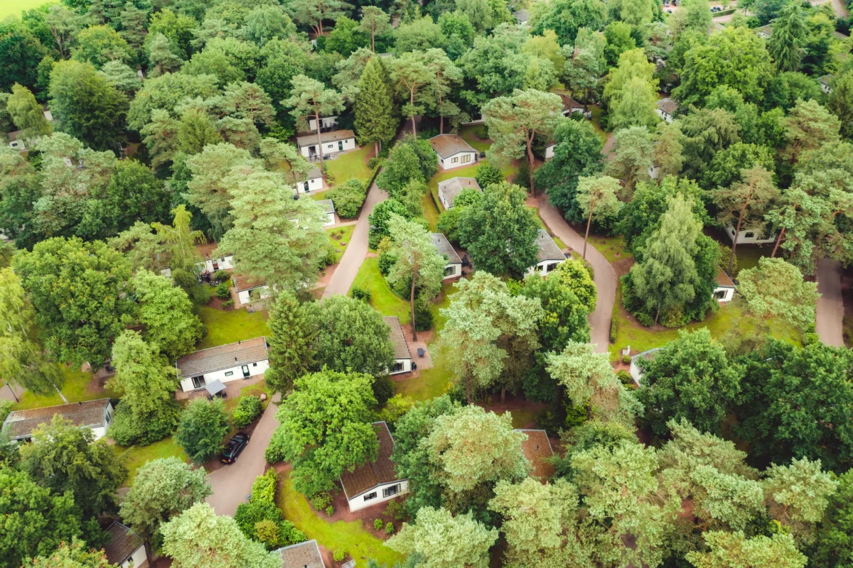 Roompot-Bospark-de-Schaapskooi-bosrijke omgeving