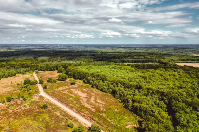 Roompot-Bospark-de-Schaapskooi-omgeving en natuur