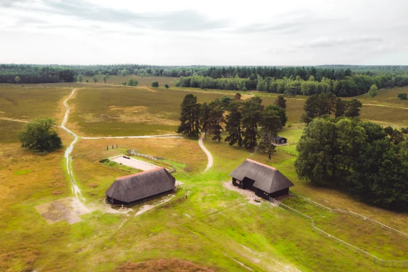 Roompot-Bospark-de-Schaapskooi-wilanden