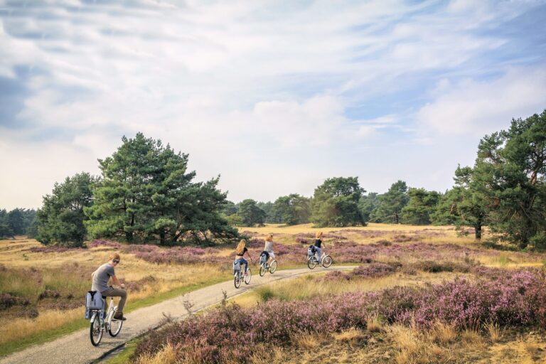 Topparken Resort Veluwe, Fietsen op de hei