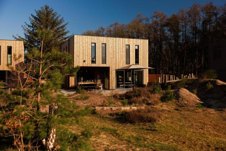 Dutchen Park de Zeegser Duinen, Vakantiehuis in omgeving