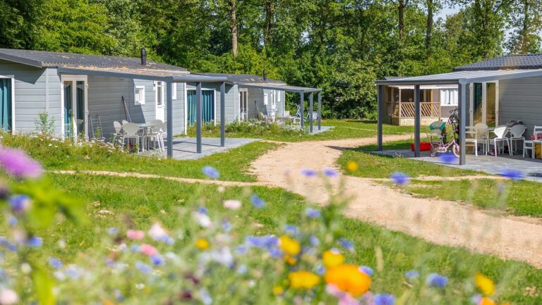 Molecaten Park De Agnietenberg, Veld met chalets