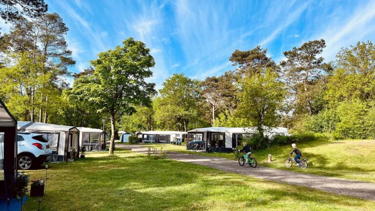 Molecaten Park De Koerberg, Veld met kampeerplekken