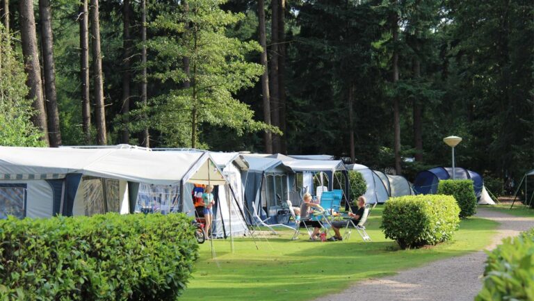 Molecaten Park De Leemkule, Kampeerplekken