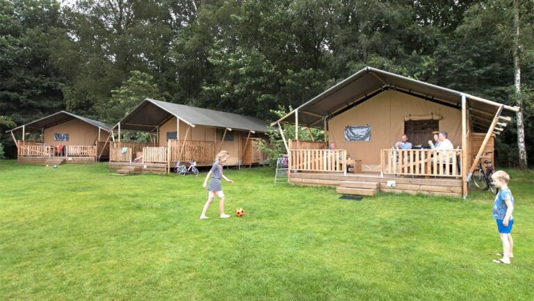 Molecaten Park Landgoed Ginkelduin, Vakantiehuizen