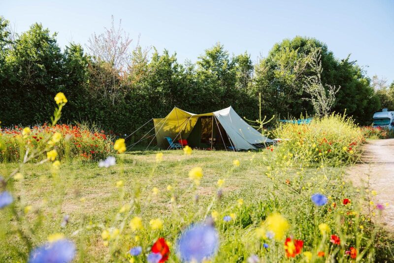 ️ Kamperen Groene Veld