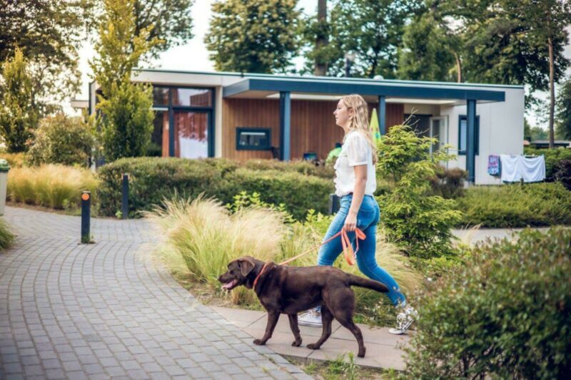 Vakantievilla | 2 – 4 pers. | Huisdier toegestaan