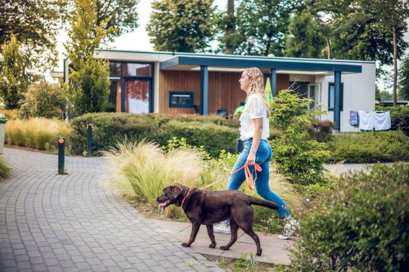 Vakantiepark Ackersate - Vakantievilla | 2 - 4 pers. | Huisdier toegestaan