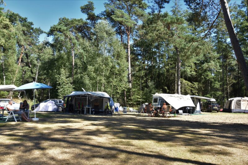 Kampeerplaats met hond Ommerbos