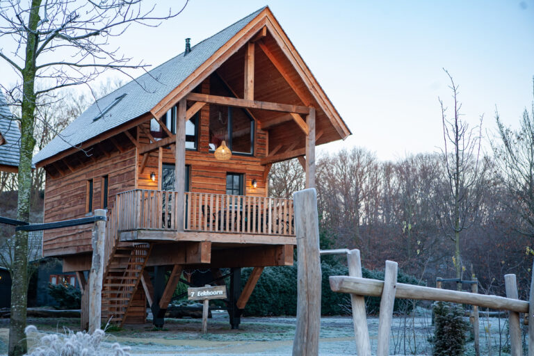 Vakantiepark-Sandberghe-boomhut