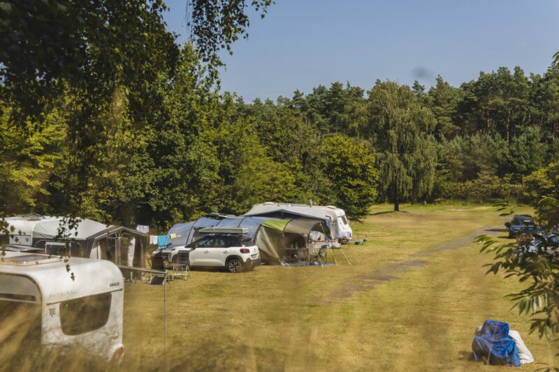 Comfort kampeerplaats – Huisdiervrij