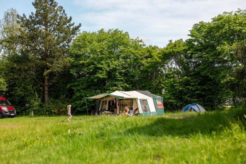 Standaard kampeerplaats – Huisdiervrij