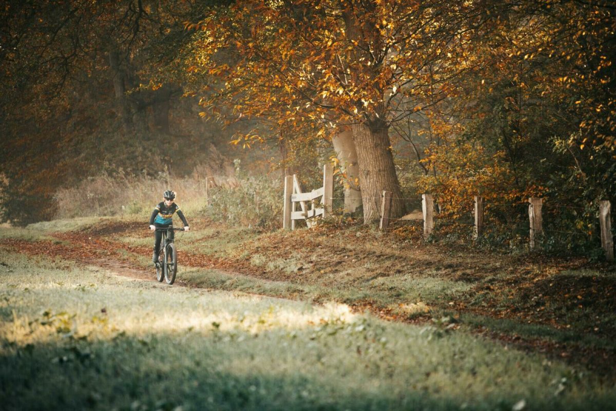 Camping-Vreehorst-fietsen