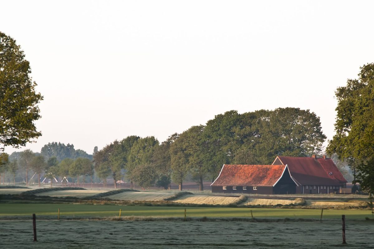 Vakantiepark-Vakantiepark-Camping-Vreehorst