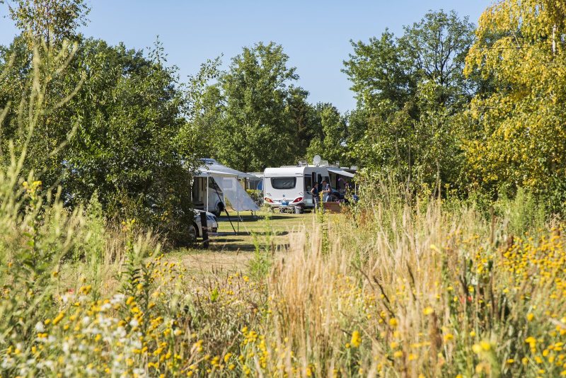Vakantiepark-Vakantiepark-Camping-Vreehorst-camper