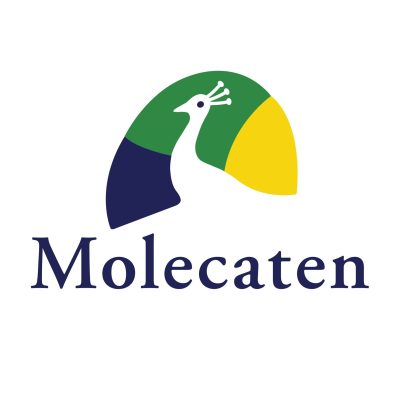 Molecaten vakantieparken
