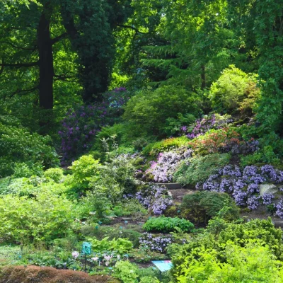 Botanische Tuinen Universiteit Utrecht