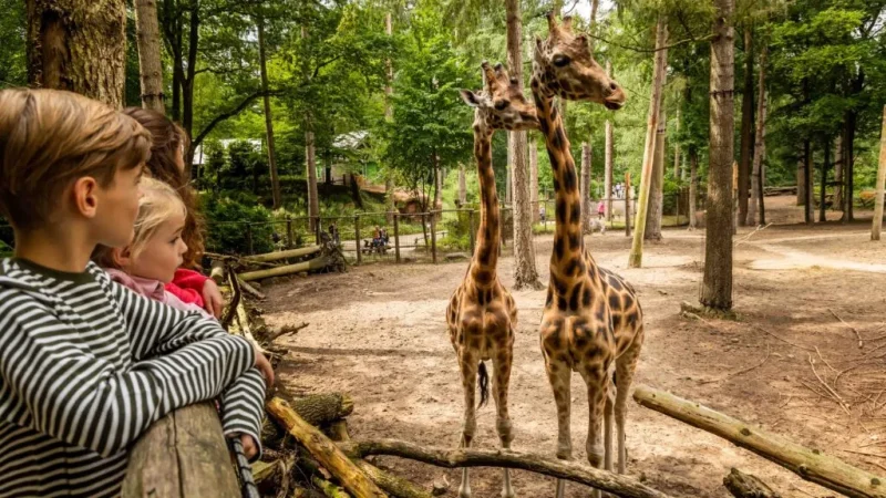 DierenPark Amersfoort