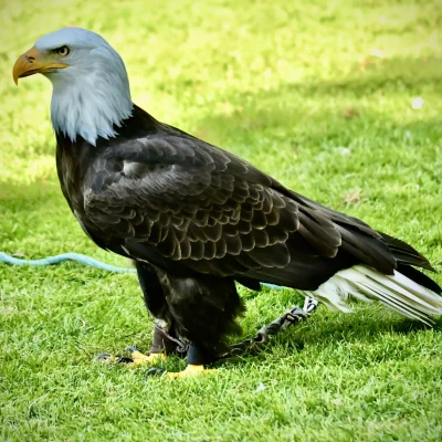 Dierenpark de Oliemeulen
