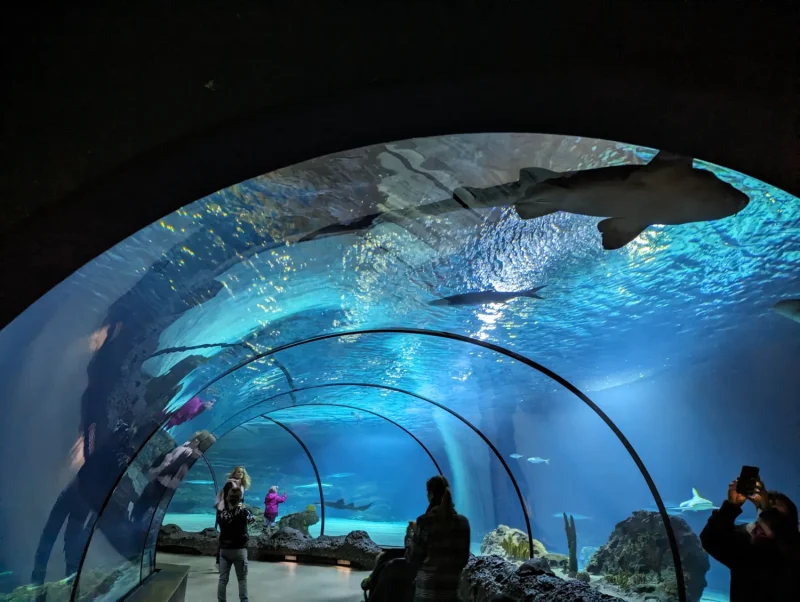 Diergaarde Blijdorp