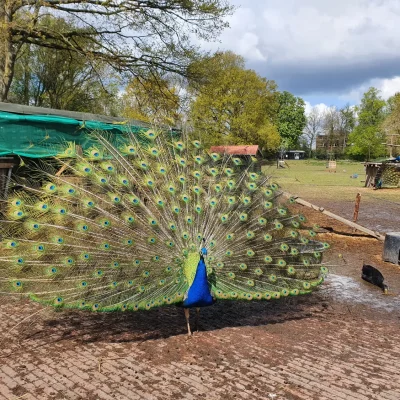 devakantiegids.nl