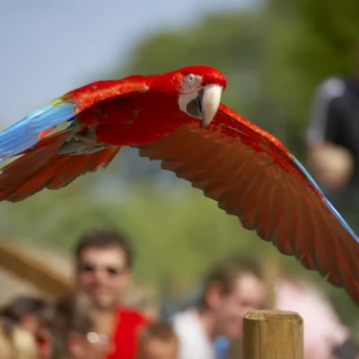 devakantiegids.nl