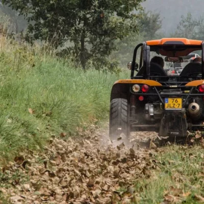 BugRacer.nl
