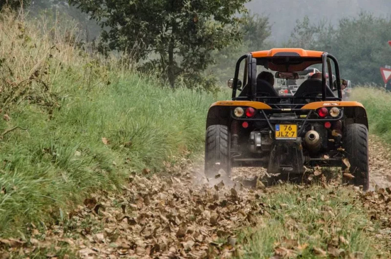 BugRacer.nl