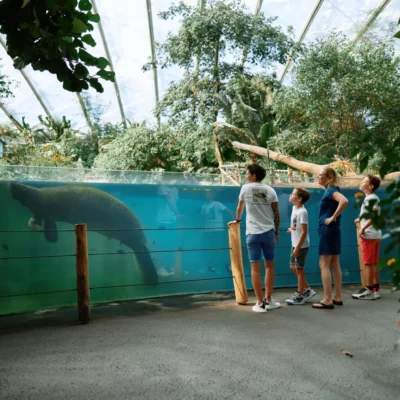 Burgers’ Zoo