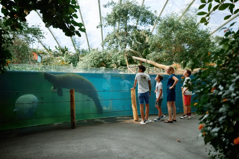 Burgers’ Zoo