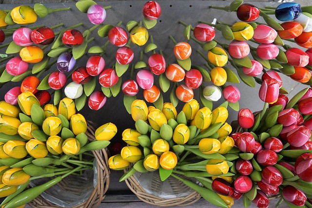 Souvenirs uit Nederland typisch tulpen
