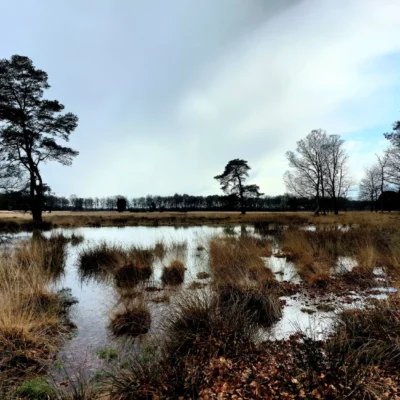 devakantiegids.nl