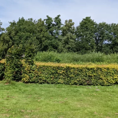 devakantiegids.nl