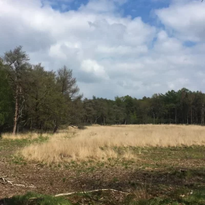 Nationaal Park Drents-Friese Wold