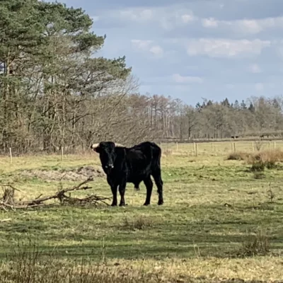 devakantiegids.nl