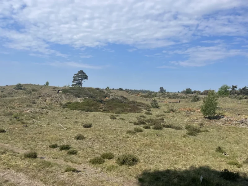 Nationaal Park Drents-Friese Wold