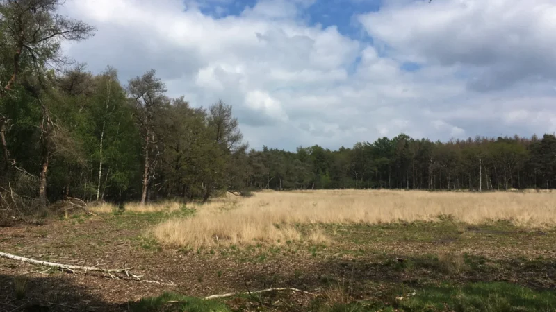 Nationaal Park Drents-Friese Wold