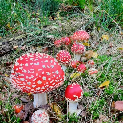devakantiegids.nl