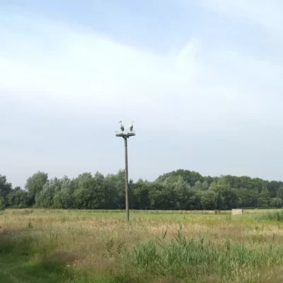 devakantiegids.nl