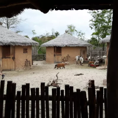 Serenga
