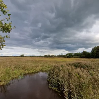 Toegangspoort ‘Wedbroeken’ Nationaal Park Drentsche Aa