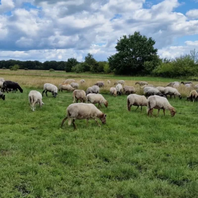 devakantiegids.nl