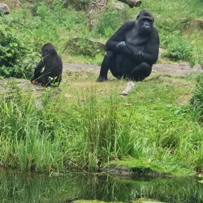 devakantiegids.nl