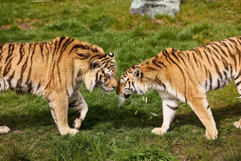AquaZoo Leeuwarden